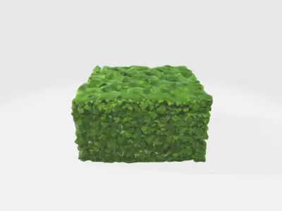 A green cube-shaped hedge bush 3D model