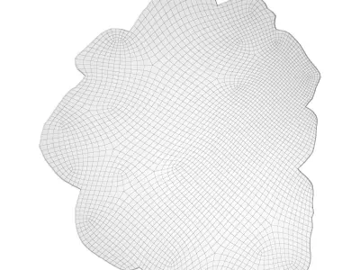 Apricot Caliedo Rug 3D model