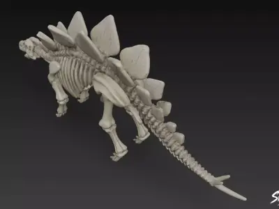 Stegosaurus fossil Low-poly 3D model