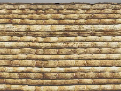 Old Palm Leave Mat 3D model