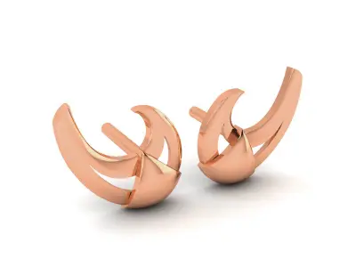 Women Earrings 3D print model