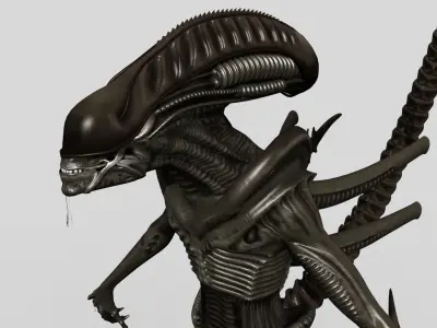  Xenomorph Alien Warrior 3D model