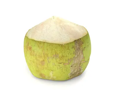 Green Coconut - Photorealistic  Scan Low-poly 3D model