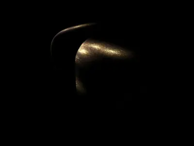 Clowes Campusano LQG 3D model