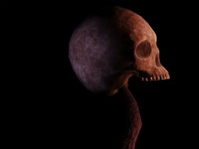 Necromancer Character Low-poly 3D model