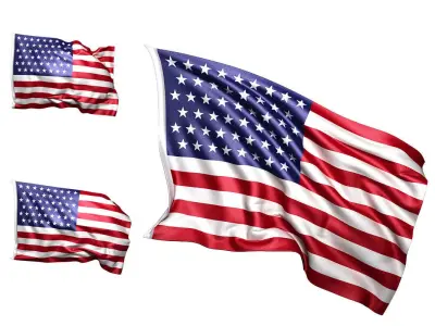 Realistic Looping Flag Animation 3D model