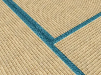 Japanese Tatami Floor 3D model