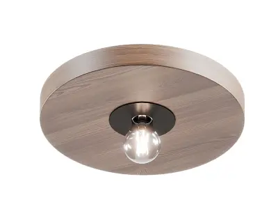 Dark Rond Ceiling Lamps 3D model