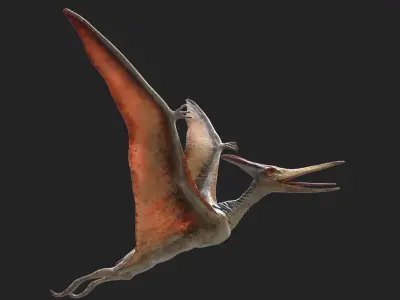  Pteranodon(Rigged)(Animated) 
