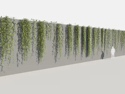  Epipremnum Aureum (+GrowFX) 