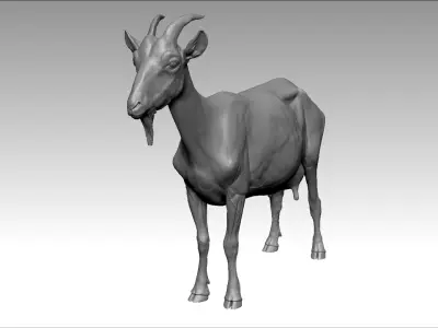 Goat Realistic 