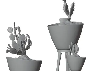 Decorative vases set with cactus HG2 3D model