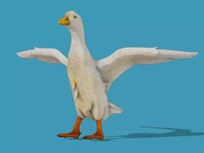 White Duck Low-poly 3D model