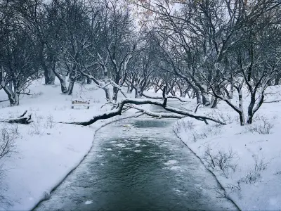 Winter Park with River Low-poly 3D model