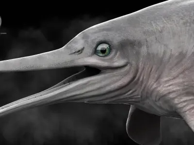 Ophthalmosaurus 3D print model