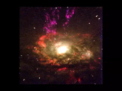 Seyfert Galaxy 3D model