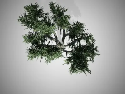 Chinese Banyan Tree Low-poly 3D model