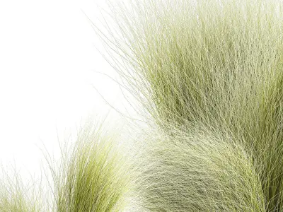 Beautiful Bushes and Stipa Feather Grass flower pot for decor 3D model