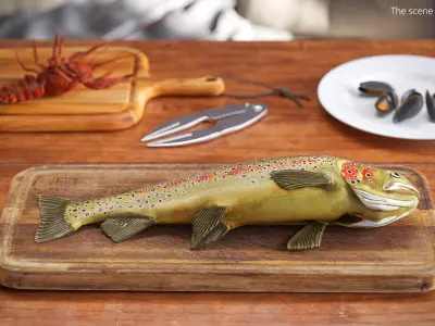  Brown Trout Fish Lying Position 