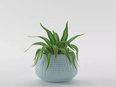 Green plant in a blue pot  3D model