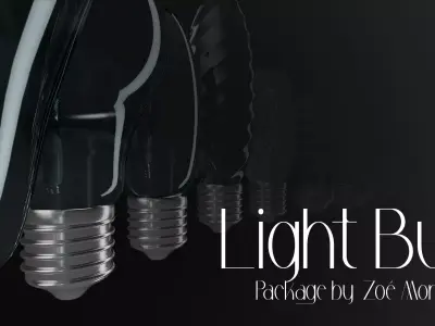 Light Bulb Package 3D model