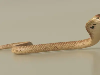  Crawling Light Skin Cobra Animated Rigged 