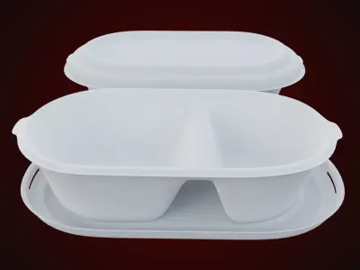 Styrofoam Disposable - Food Container 3D model