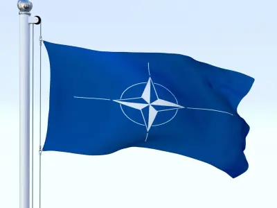 Animated Nato Flag Low-poly 3D model