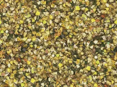 Seamless Leaf Debris Texture Texture