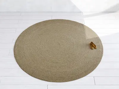 Siesta Rug Round 3D model