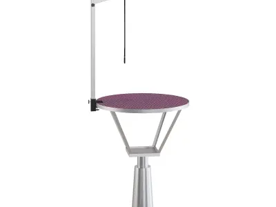 Blovi Event Hydraulic Dog Grooming Table 3D model