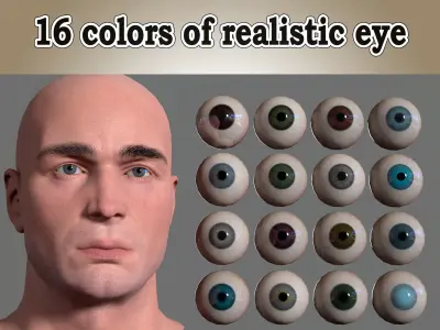 Model of a realistic eye  Low-poly 3D model