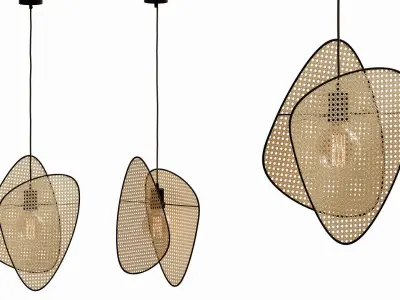 Pendant light cannage 3D model