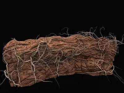 Desert cliff 3D model