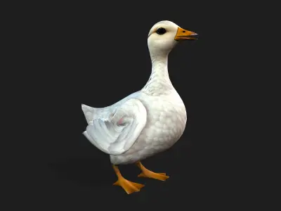 Duck_A1