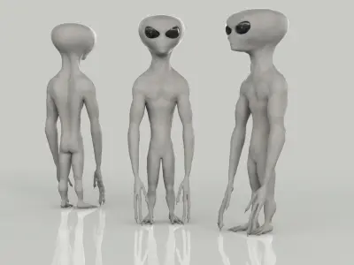 Gray Alien 3D model