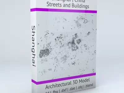 Shanghai Streets and Buildings 3D model