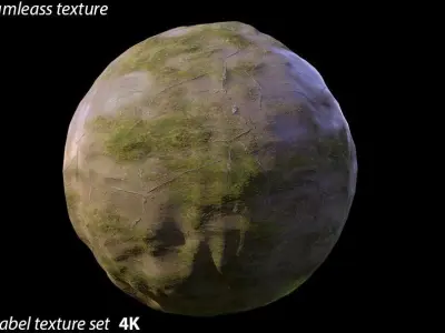 PBR Texture Grass Mud Puddles  Texture