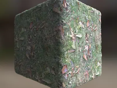 Leafy Ground Seamless Material Texture