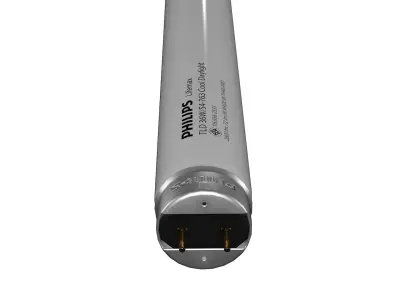 Light Bulb 5 3D model