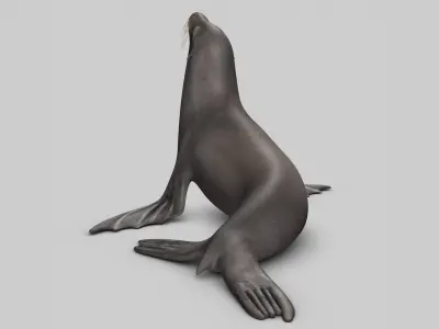  Sea Lion 