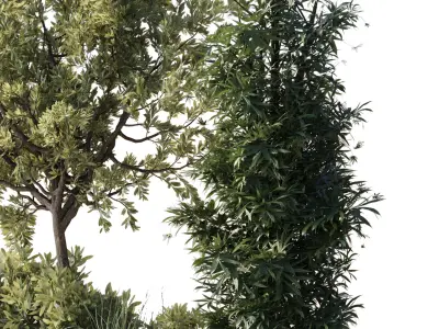 Urban Environment Urban Furniture Green Benches 3D model