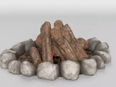 Campfire 3D model