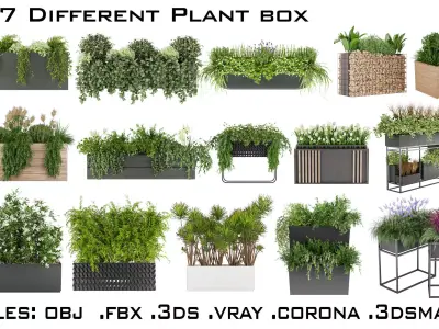 Large Collection plant vol 1 3D Model Pack