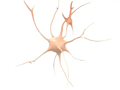 Neurons v1 003 Low-poly 3D model