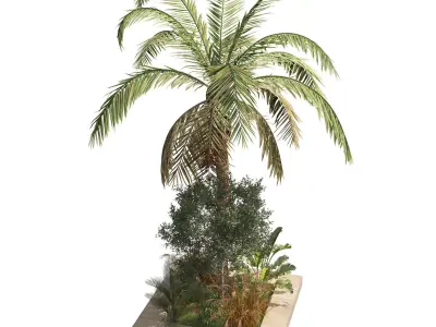 Garden Island plants  Low-poly 3D model