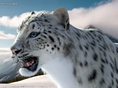  Snow Leopard Rigged with Fur 