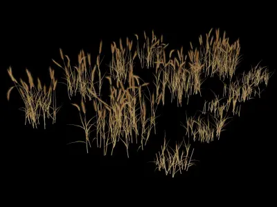  Wheat Field (+GrowFX) 