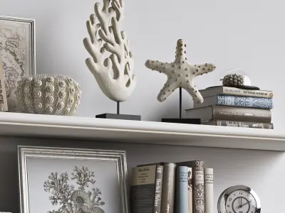 Decor Set 2 bookshelves with seashells 3D model