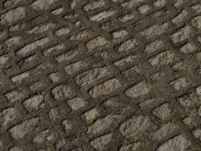 Mossy Cobblestone Path PBR Texture Texture